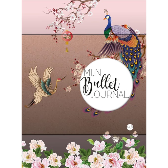 Mijn Bullet Journal Japan 240 dots 240 pagina's