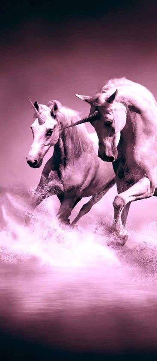 Unicorns Horses Purple Black Photo Wallcovering