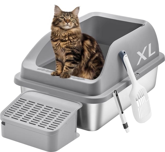 Feandrea - Kattenbak - Met Hoge Zijkanten - Ruim Ontwerp - Inclusief Schep en Borstel