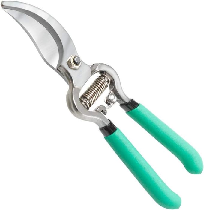 Snoeischaar - Tak schaar - Tuinonderhoud - Arbeidsbesparend ontwerp - 8 inch - Niet gespecificeerd