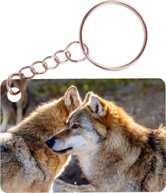 Sleutelhanger 6x4cm - Wolf Roedel