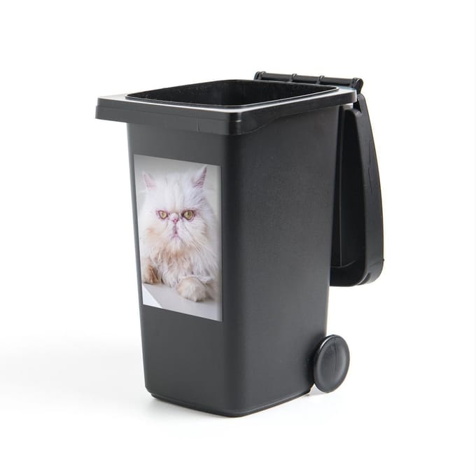 Container sticker Exotic - Portret van een exotic kortharige kat - 40x60 cm - kliko sticker - weerbestendige containersticker