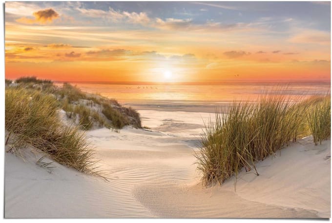 Poster Beautiful Dunes - 61 x 91,5 - Papier - REINDERS