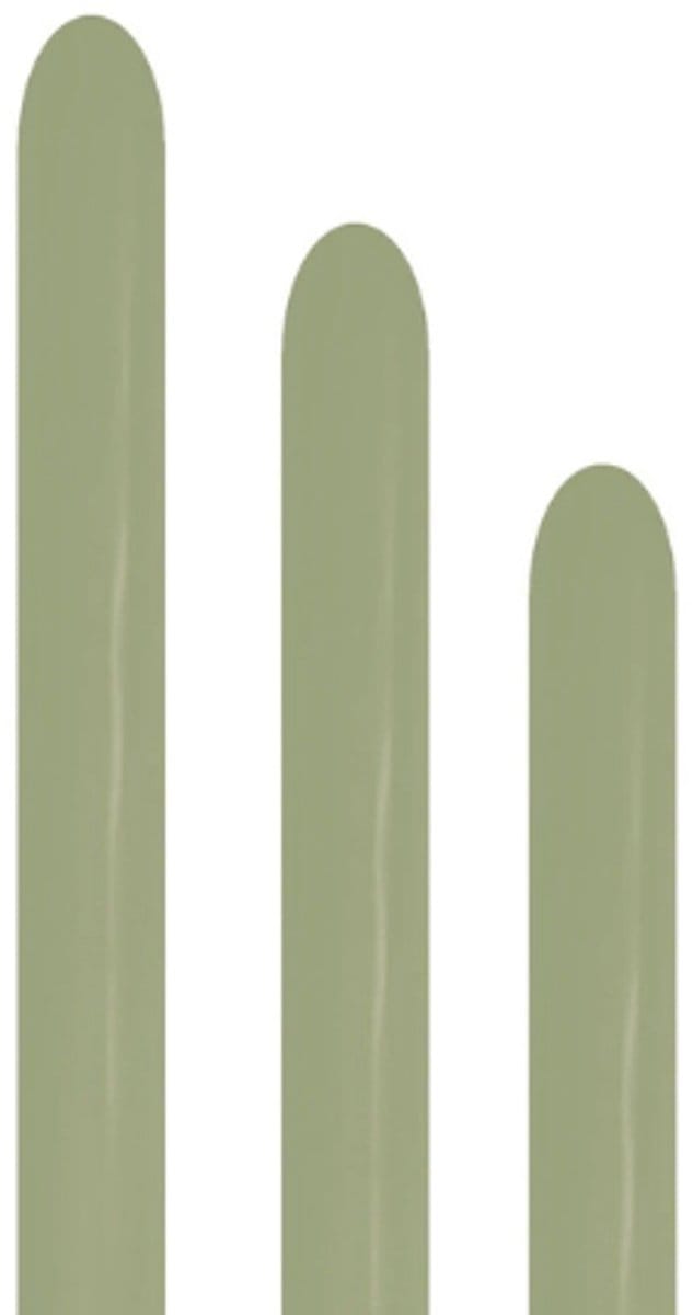 Modelleerballon Sempertex 260s Fashion Eucalyptus 027 - 50 stuks