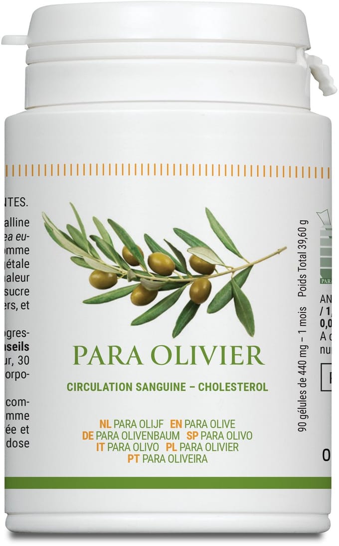 PARA OLIJF regulerend effect op cholesterol