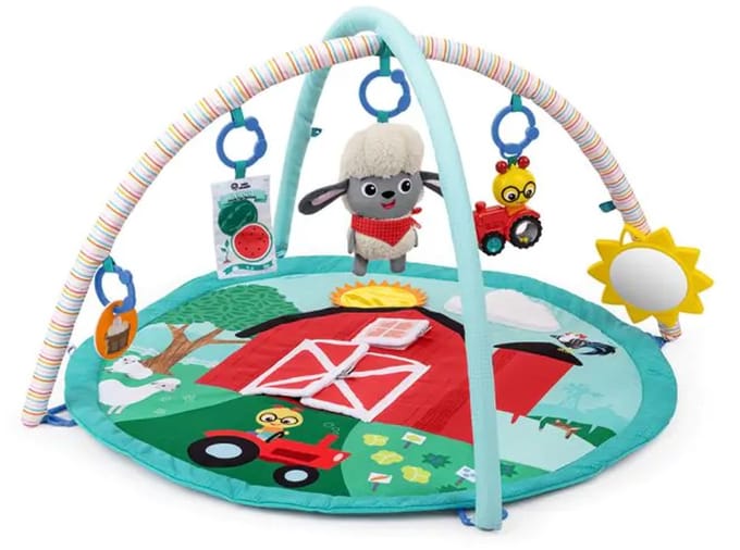 Activity gym happy harvest touch & feel - Baby Einstein - vanaf 0 maanden