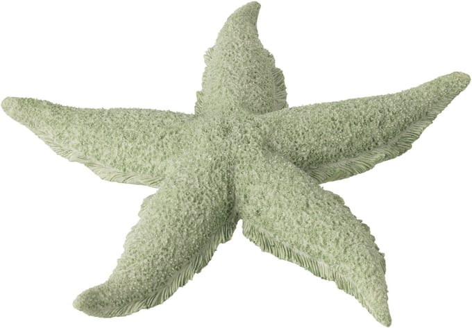 J-Line decoratie Zeester - polyresin - muntgroen - large