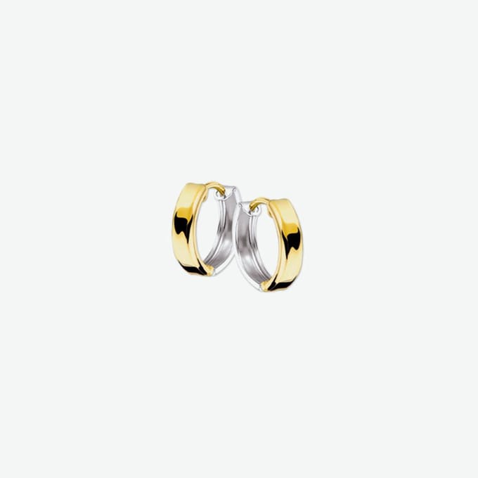 Huiscollectie 4206382 Bicolor gouden Oorring licht