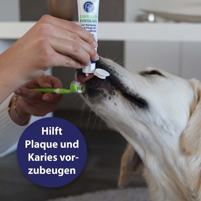 100g Canosept tandpasta tandgel voor honden