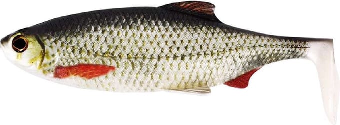Westin Ricky The Roach Shadtail Box Real Roach 14cm Real Roach