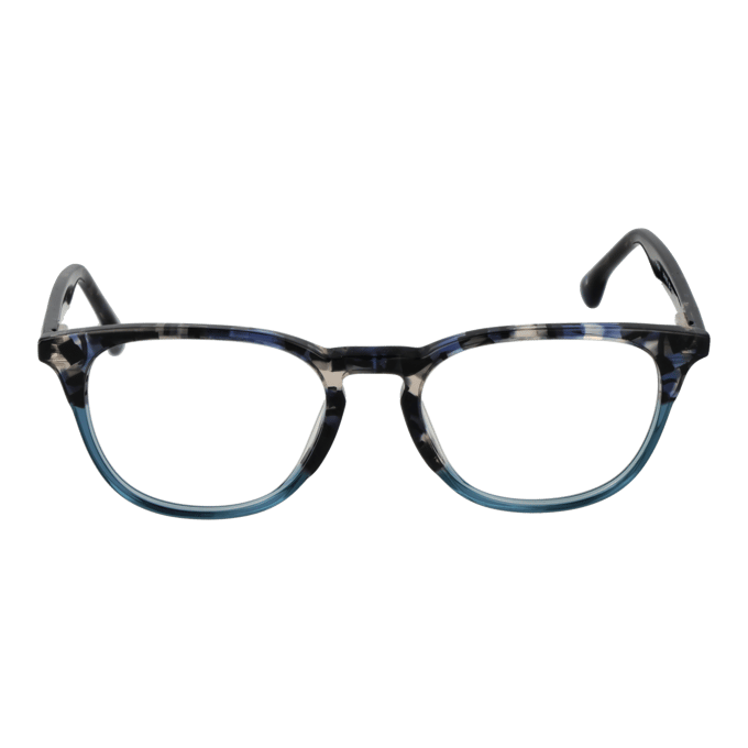 Bulget Brilmontuur BGY6002 P03 50