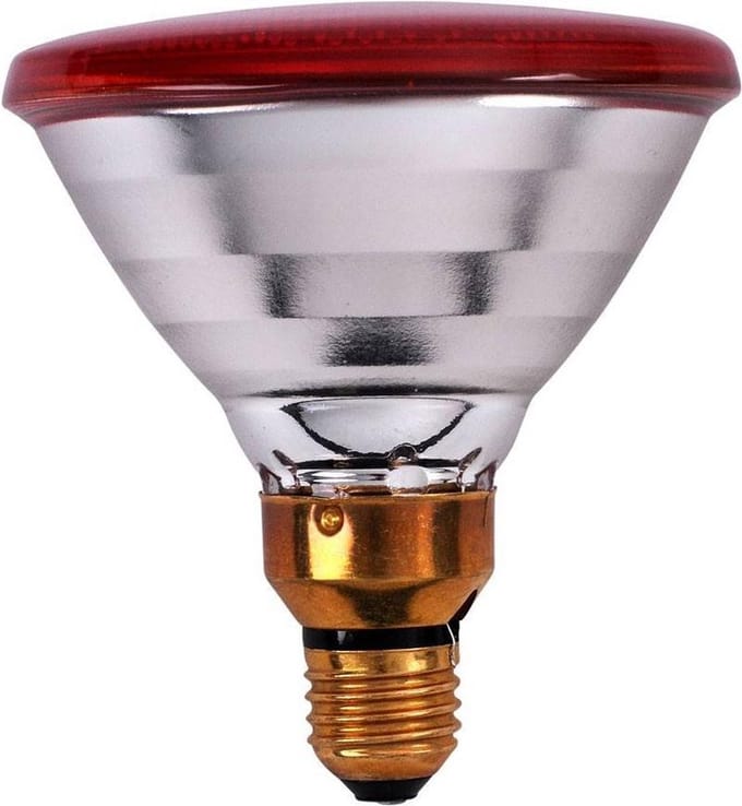 Interheat 2x Infrarood PAR warmtelampen 100 Watt