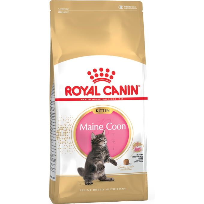 Roya Canin Maine Coon Kitten - Kattenvoer - 4kg