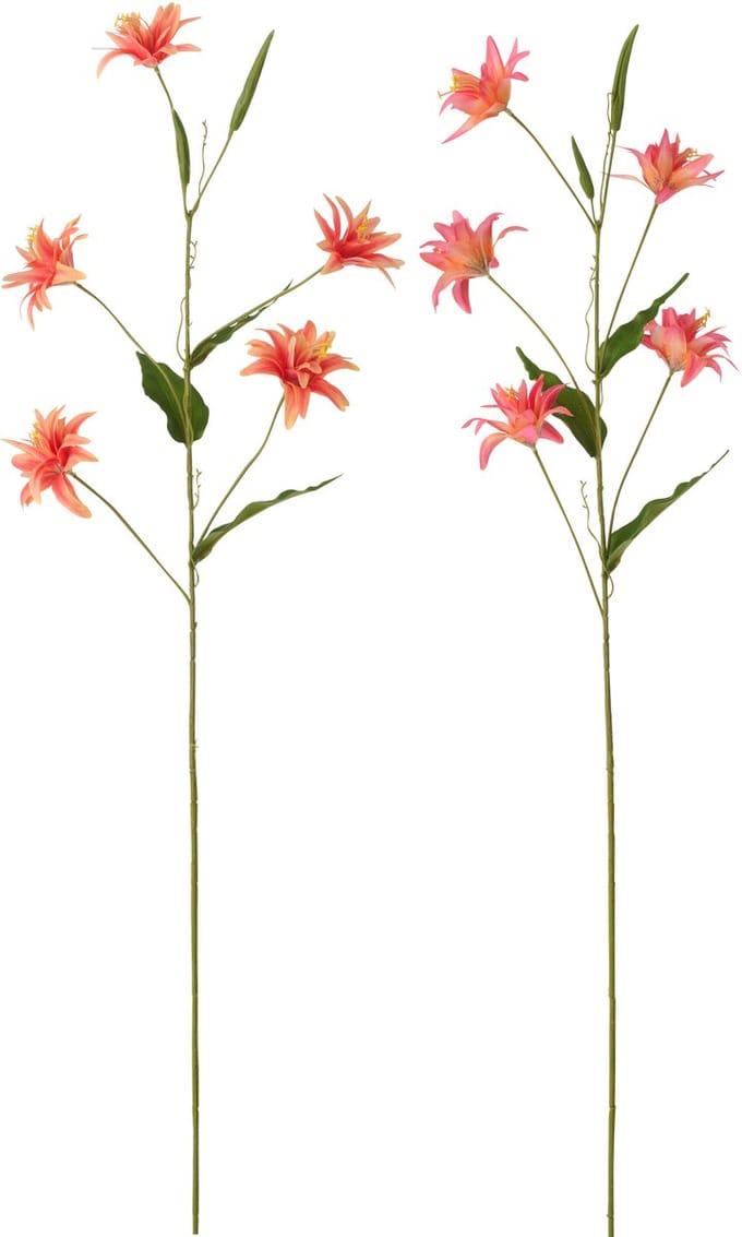 J-Line bloem Lily - textiel - donkeroranje - set van 2