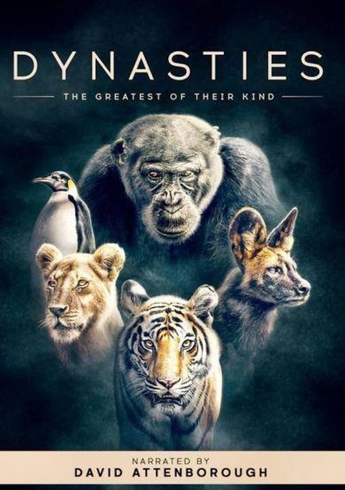 Dynasties - Seizoen 1 (DVD)