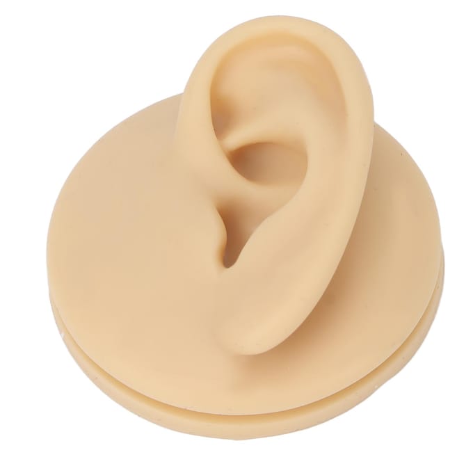 Modèle d'oreille gauche en silicone souple, modèle de pratique d'acupuncture de l'oreille, modèle d'affichage de simulation d'oreille beige