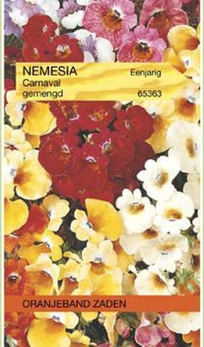 Oranjebandzaden -  Nemesia Carnival gemengd