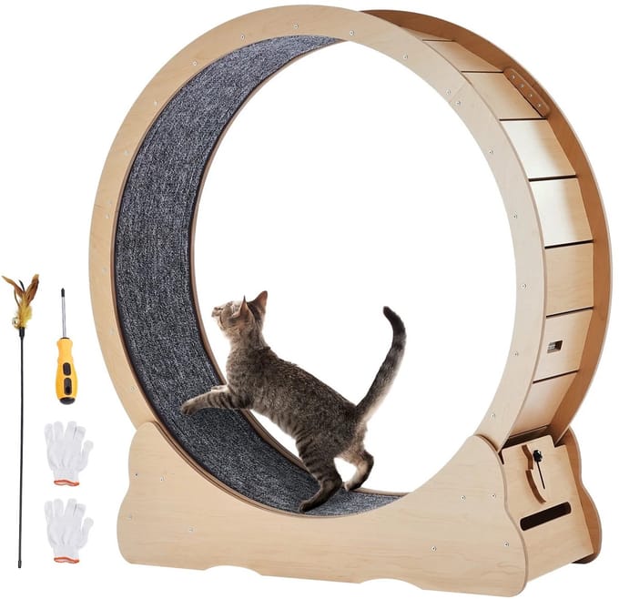 Zolara Kattenwiel - Catwheel - Loopwiel - Looprad - Kattenrad - Katten wiel