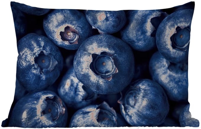 Buitenkussens - Bessen - Blauw - Fruit - 60x40 cm - Weerbestendig