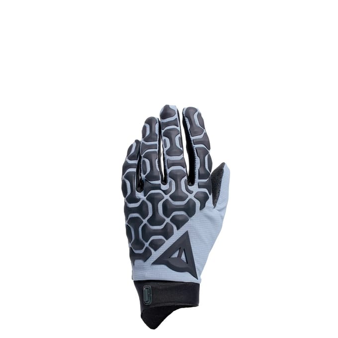 Lange handschoenen Dainese HGR Ext