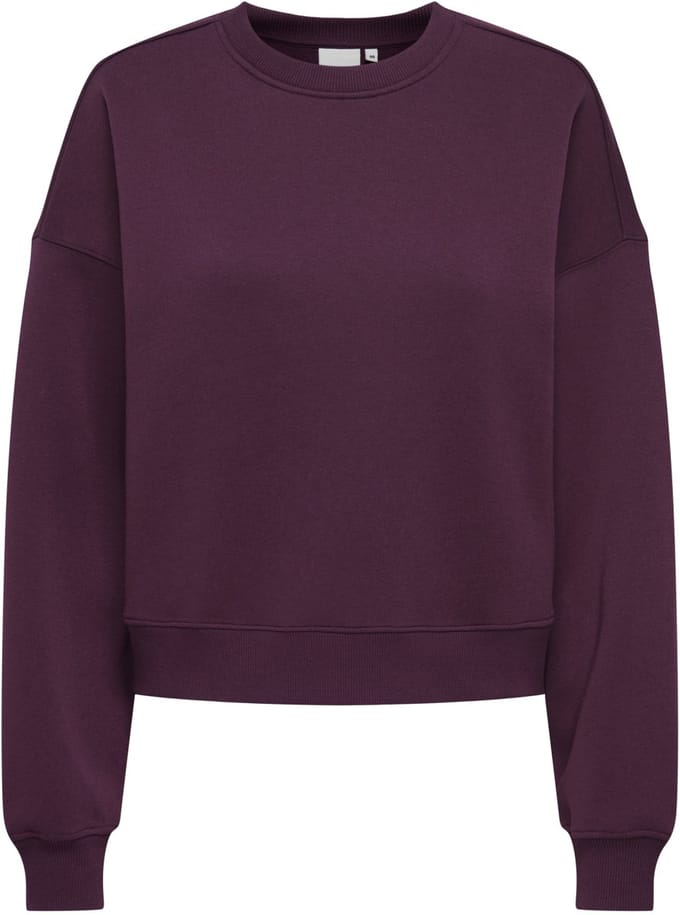 ONLY- ONLBEST L/S CREW NECK SWT - Dames - Sweatshirt