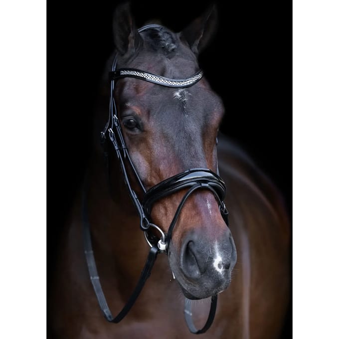 Hengsttuig met Engelse neusriem Imperial Riding