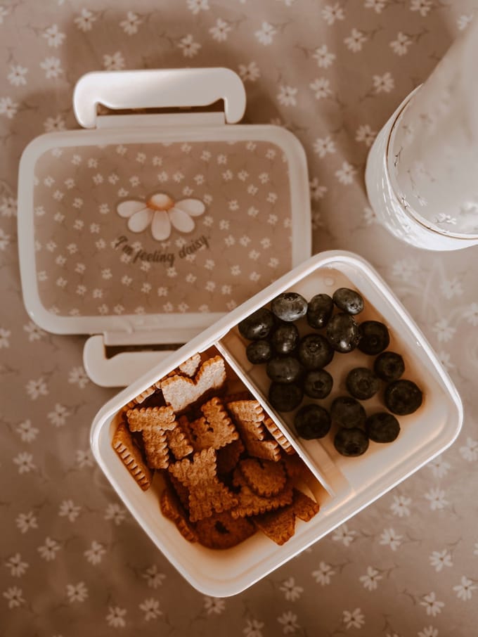 Mrs Ertha Bentobox / brooddoos met indeling - 15x12x5cm - Little Daisys
