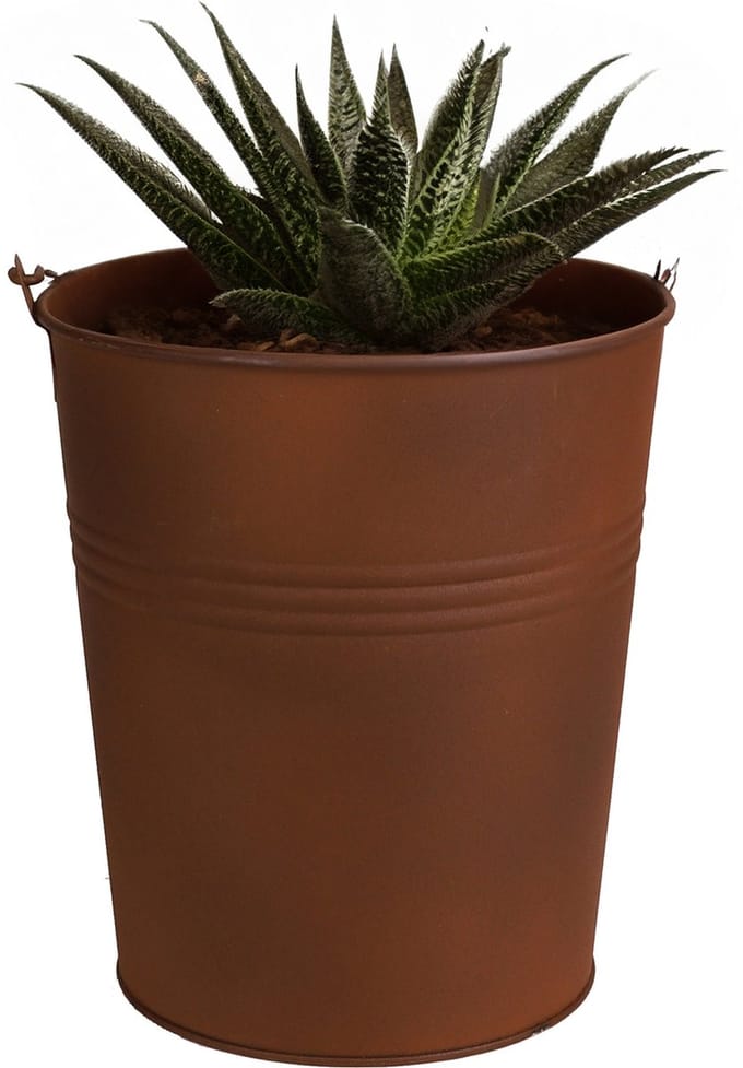 Sunnydays Emmer/plantenpot/bloempot - zink - roestbruin - D13 x H14 cm