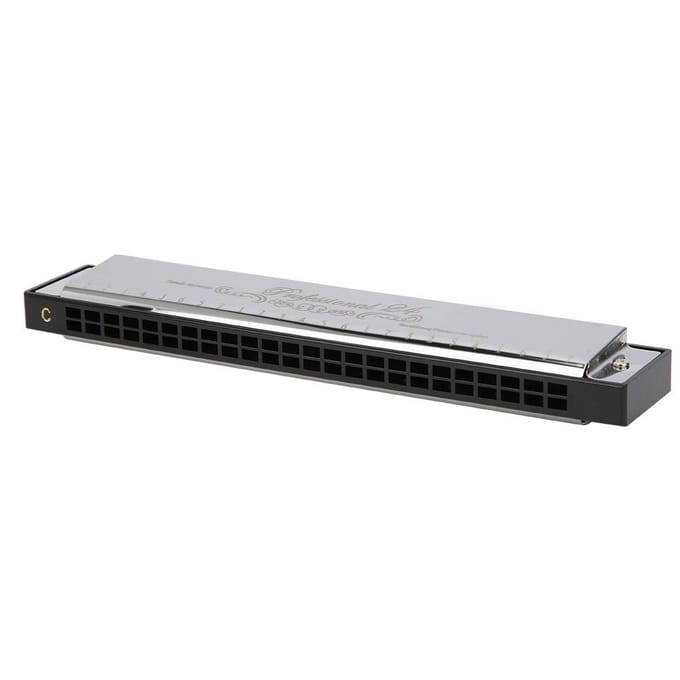 C Toets Harmonica 24?Gat Polyfone Student Volwassene Beginner Spelen Hars Accenten Mondharmonica Zilver zilver