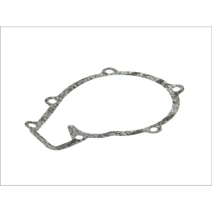 Pakking, waterpomp DT Spare Parts 3.16102