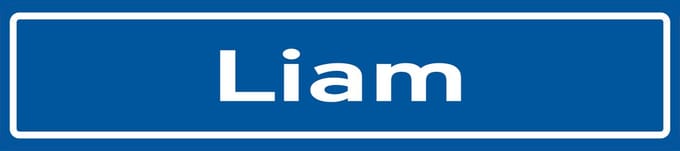 Fotofabriek Straatnaambord Liam | Straatnaambord met naam | Cadeau Liam