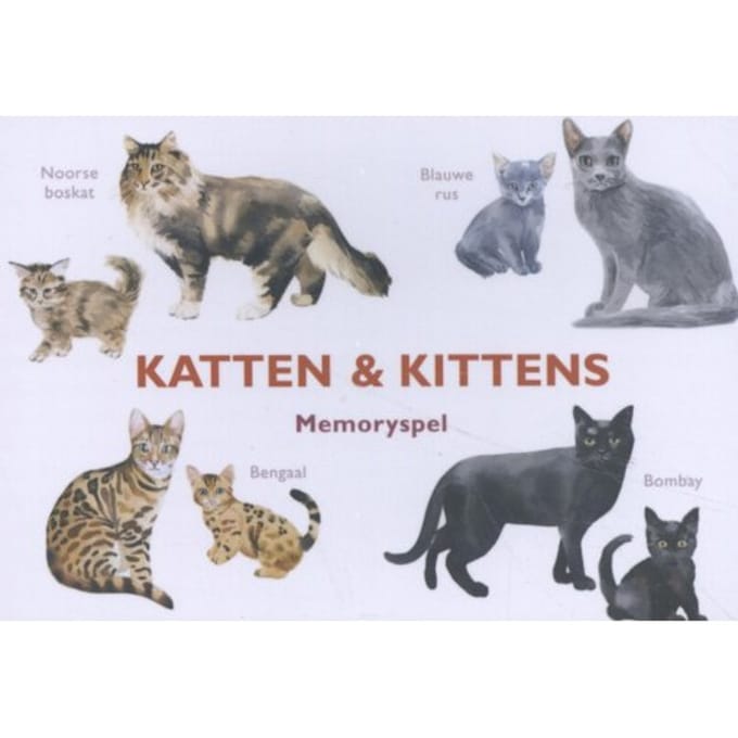 Katten & Kittens - M. George
