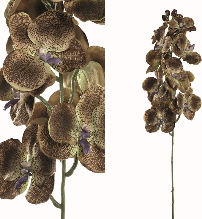 PTMD bruine Orchidee - Orchid Flower brown cymbidium Lengte: 80 (diameter: +/- 20 cm.)