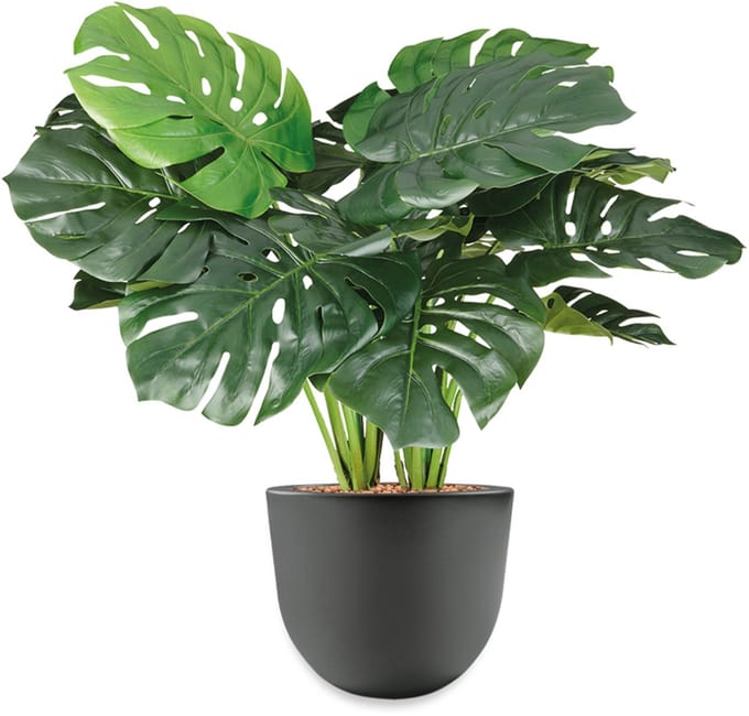 HTT - Kunstplant Monstera in Eggy antraciet H70 cm