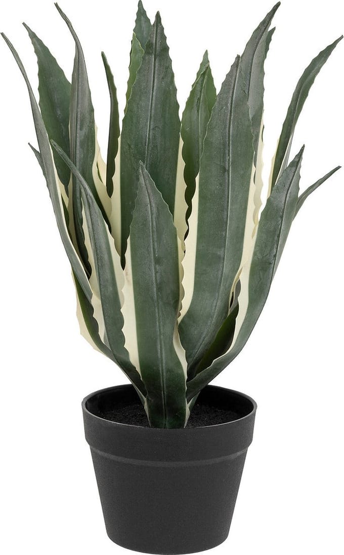 Atmosphera Kunstplant - Amerikaanse Agave met pot - Ø35xH55cm - Groen