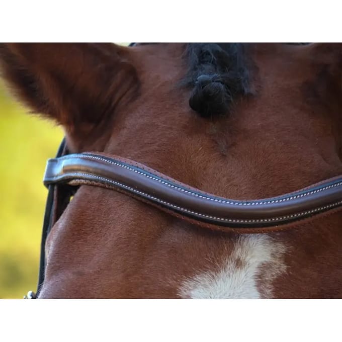 Frontaal voor paard Jump'In Paris