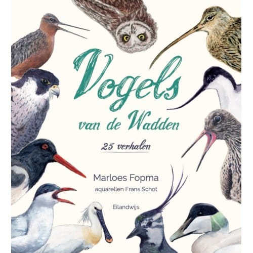 Vogels Van De Wadden - Marloes Fopma