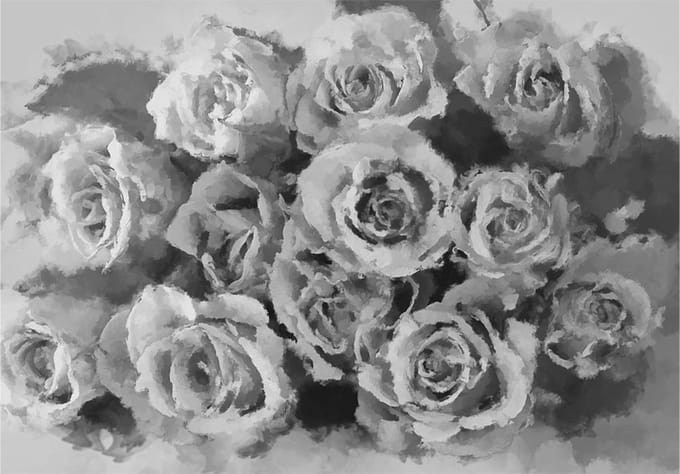 Fotobehang - A dozen roses.
