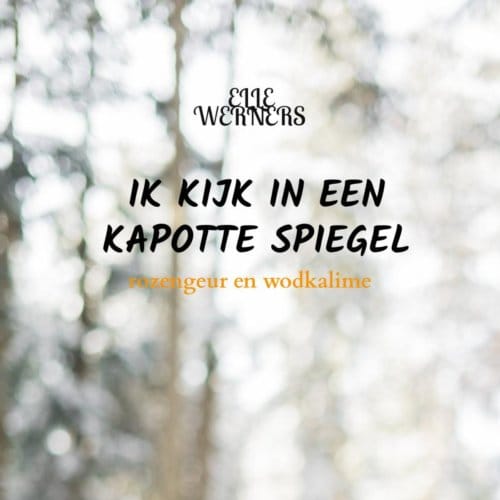 Ik Kijk In Een Kapotte Spiegel - Elle Werners
