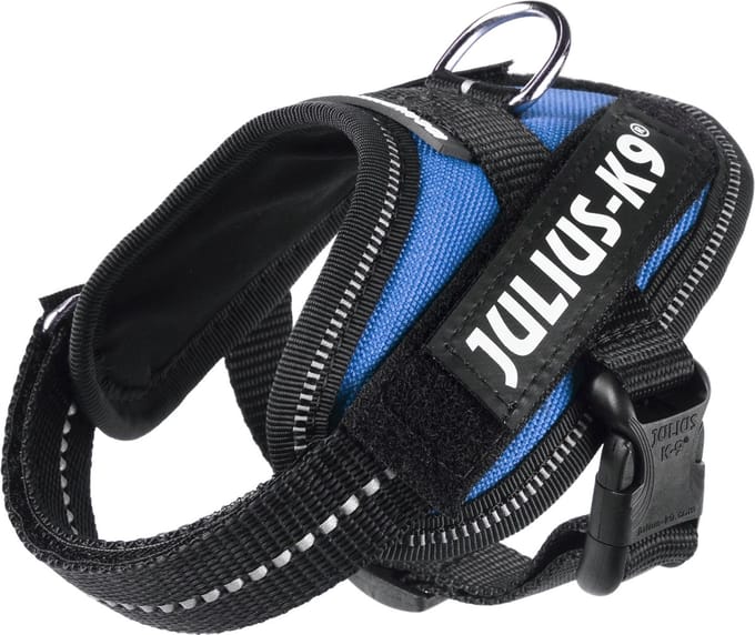 Julius-K9 IDC Powertuig - 3XS - Baby1 - Azuurblauw