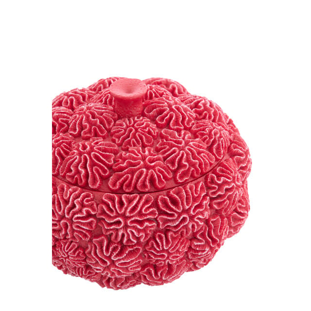 Light & Living - Deco box+deksel CORAL - Ø17x16cm - Rood
