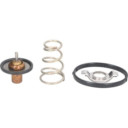 Thermostaat MOTORAD 724-95INSK