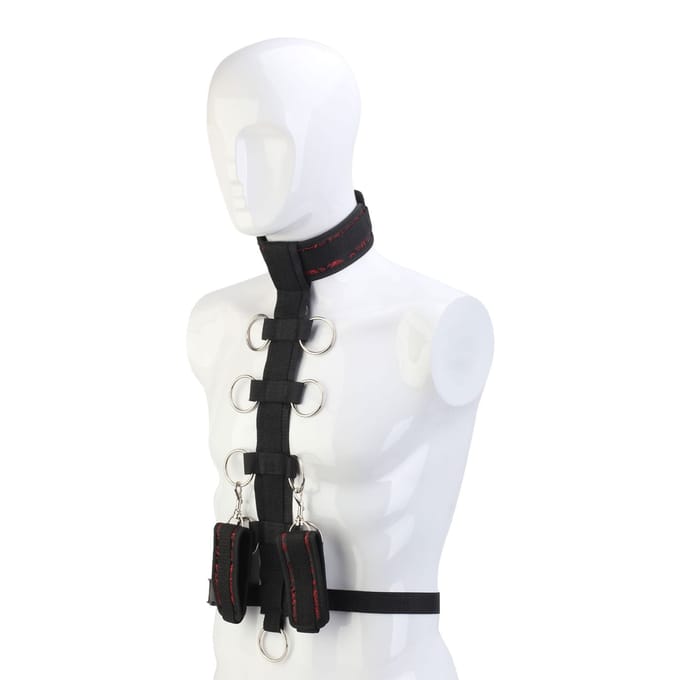 Body Collar Blaze Deluxe