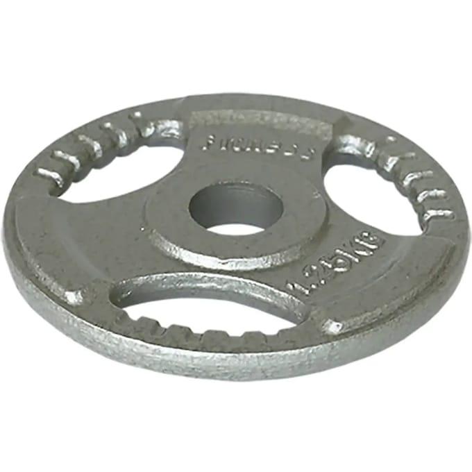 IJzeren Schijf Met Greep Gris 125 Kg - 1.25 kg