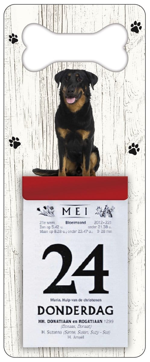 Scheurkalender 2027 Hond: Beauceron