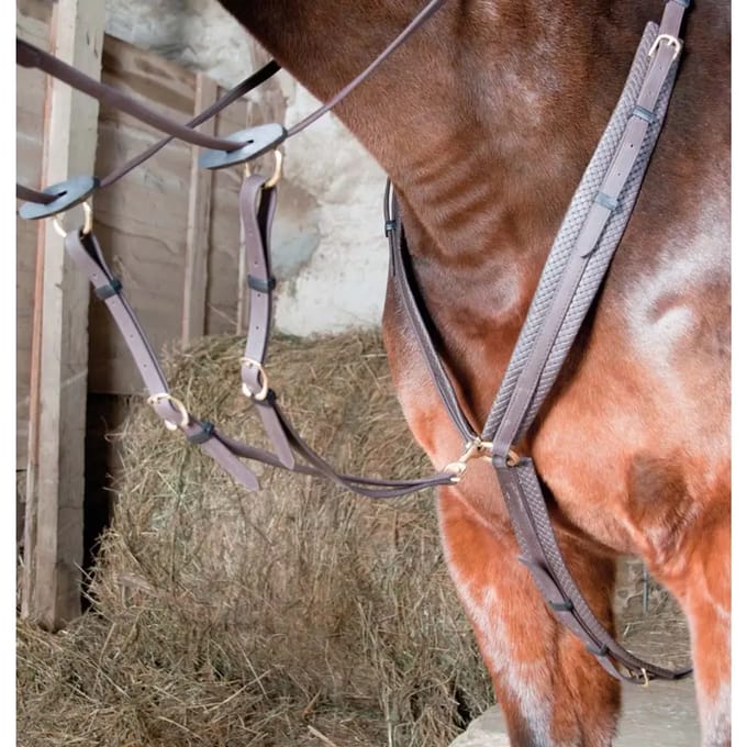 Jachthalsband voor paarden T de T
