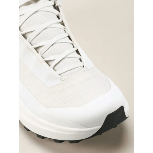 Arc'teryx Norvan LD 4 GTX Trailrunning Heren (Maat - 11, Kleur - Arctic Silk/Arctic Silk)