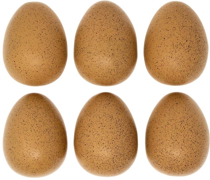 Set van 6 Sensorische Rammelaars Eieren voor Jonge Kinderen