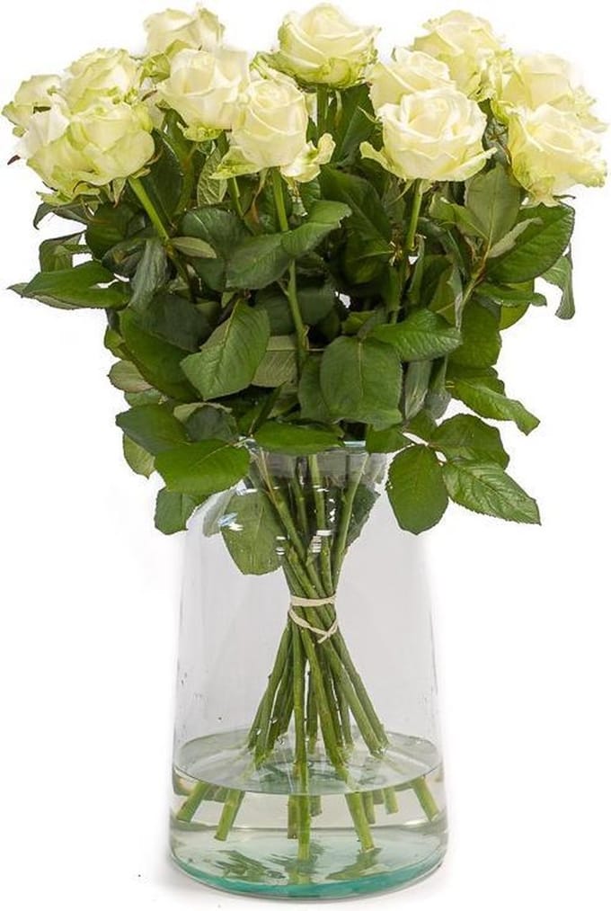 Avalanche Witte Rozen (Vanaf 10 stuks)