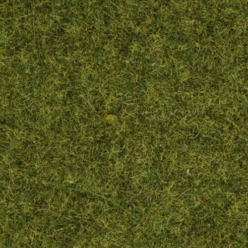 Speelgoed | Model Kits - Streugras Wiese 100g 2.5 Mm